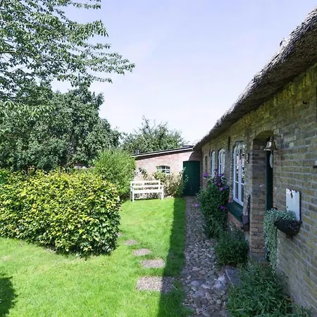 Semi-detached House - Dns08103g-l