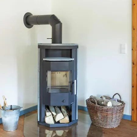 Semi-detached House - Dns08103g-l Holiday home Schwabstedt